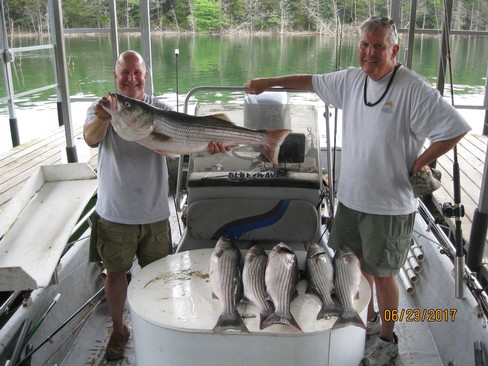 Nice Striped Bass